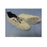 Sunrise Industries Shoe Cover Large Skid-resistant White - T156