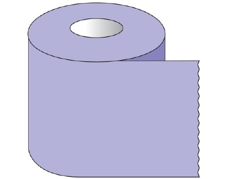 Shamrock Scientific Shamrock Blank Label Tape Multipurpose Label Without Legend Violet 1 X 500 Inch - ST-10-12