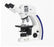 Carl Zeiss Primo Star - Microscope Binocular Head Plan Achromatic 4X, 10X, 40X, 100X Oil Mechanical Stage - 12-171-482
