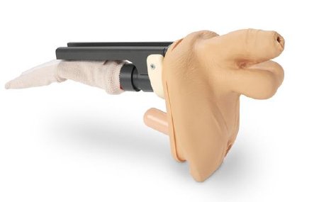 Life/form Geri - Replacement Genitalia Complete Advanced Auscultation 1.10 lbs. - LF04075 N