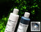 Scientific Device Lab - Modified Auramine O Kit 2 X 250 mL - 345-250
