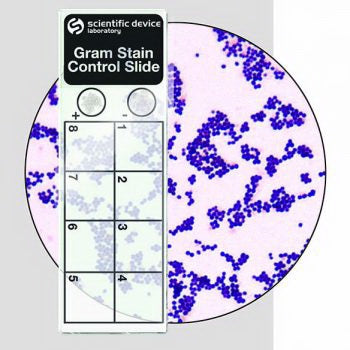 Scientific Device Lab - Microbial Identification Control Slide Gram Stain Positive Level 50 Slides - 361