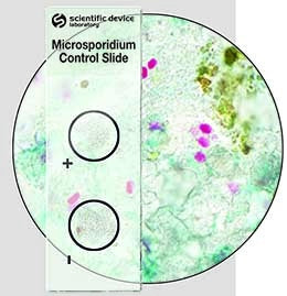 Scientific Device Lab - Mycology Control Slide Microsporidia Positive Level / Negative Level 10 Slides - 369