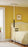Patterson Medical Supply Sammons Preston Transfer Pole And Transfer Pole Swing Grip - 926786