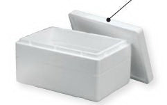 Insulated Shipper