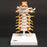 Patterson Medical Supply FEI Flexible Cervical Vertebral Column 7 Inch Height 1 lbs. - 929429
