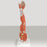Patterson Medical Supply Muscular Anatomy of the Arm and Shoulder 3/4 Lif Size 4 lbs. - 563592