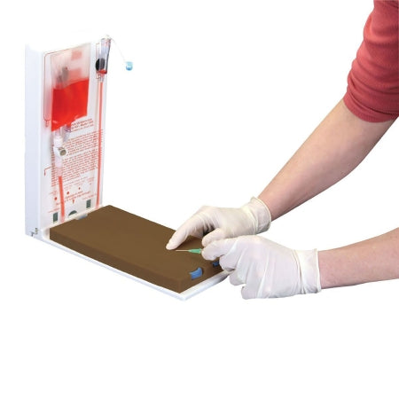 Fabrication Enterprises 3B Scientific Advanced Four-Vein Venipuncture Training Model 3.5 lbs. Dermalike/ Dermalike V - Z02815
