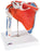 Fabrication Enterprises - Shoulder Joint with Rotator Cuff Model 2 lbs. - 12-4525