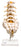 Fabrication Enterprises - Lumbar Spinal Column Model 2 lbs. - 12-4541