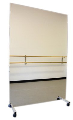 Ultra-Safe - Mobile Mirror 24 X 24 X 72 Inch - 19-1014