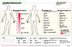 Kerma Medical Products Vidatak Patient Communication Board - 0165ACU014