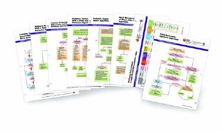 Laerdal Medical PALS Emergency Crash Cart Cards Set Emergency Crash Cart Cards AHA - 15-1050