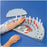 Fabrication Enterprises - Peg Board - 10-1159