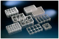 Fisher Scientific Thermo Scientific Nunc Multiwell Cell Culture Dish - 12565496