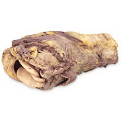 Nasco Preserved Pig Larynx With Epiglottis - LS03612MH