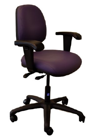 Pedigo Products Ergo Series Task Chair Raven Black Adjustable Arm Rests - T-580-RVN
