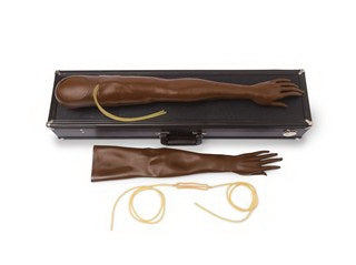 Laerdal Medical Multi-Venous IV Training Arm Kit Female Adult - 375-50001B