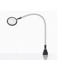 Waldmann Lighting Magnifying Lamp Fluorescent, LED Surface/Table/Wall Mount 6 W - 113142000-00618824