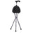 Seat Cane Switch Sticks
