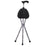 Switch Sticks - Seat Cane Aluminum 34-1/4 Inch Height Storm Print - 502-2002-5108