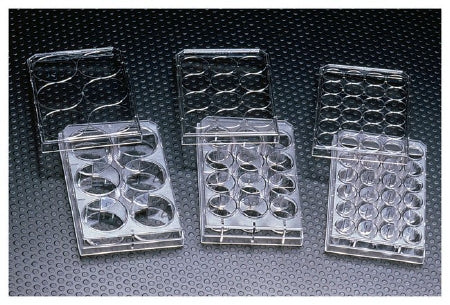 Thermo Scientific Nunc - Multiwell Cell Culture Dish - 353043