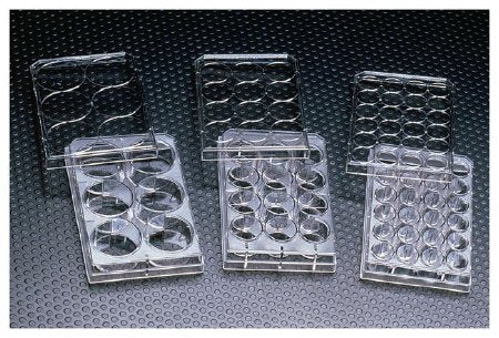 Fisher Scientific Thermo Scientific Nunc Multiwell Cell Culture Dish - 12565496