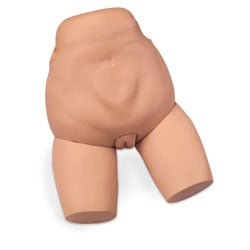 Nasco - Fundus Skills and Assessment Trainer - LG02176