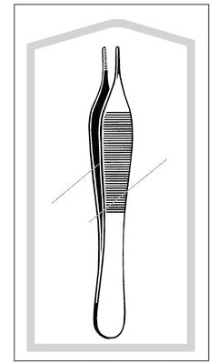 Econo - Dressing Forceps Adson 4-3/4 Inch Length Floor Grade Pakistan Stainless Steel Sterile NonLocking Thumb Handle Straight Blunt Delicate Serrated Tips - 96-2577