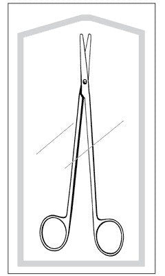 Dissecting Scissors