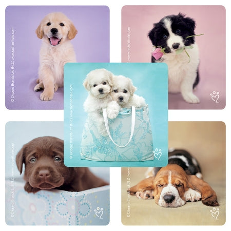 Smilemakers  100 Per Unit Rachael Hale Dog Sticker 2.5 Inch - ST237R