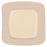 FoamLite - Foam Dressing 3-1/4 X 3-1/4 Inch Square Adhesive with Border Sterile - 421557