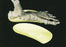 Alimed Alimed FREEDOM Foot Brace Without Closure Male 12 to 13 / Female 13 Foot - 6827