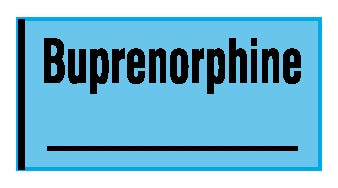 Shamrock Scientific Shamrock Pre-Printed Label Anesthesia Label Buprenorphine / _____ Blue 1/2 X 500 Inch - SAV-942