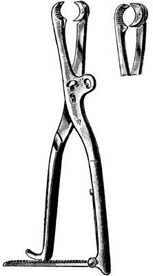 Bone Holding Forceps