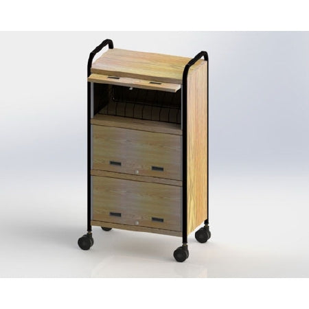 First Healthcare Products Level I 635 Series Privacy Chart Rack 30 Pockets Classic Oak - 636130P
