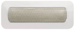 Foam Dressing with Silver