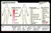 Kerma Medical Products Vidatak EZ Board Communication Board - 0615ACU002