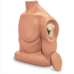 Nasco Humerus Intraosseous (IO) Trainer - SB51033