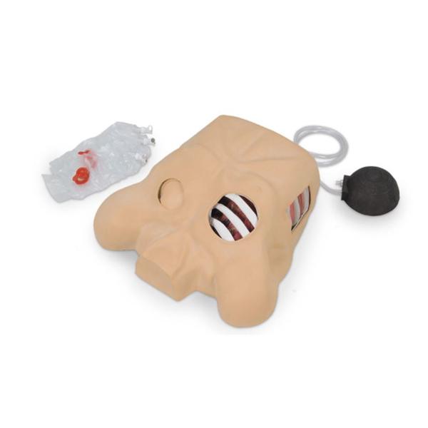 Nasco Company Chest Tube Manikin Model Each - LF03770U