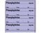 Shamrock - Drug Label Anesthesia Label Phenylephrine_mg/mL Date_Time_Int._ Violet 1/2 X 1 Inch - SA-283-DTI-PK