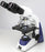 G386 Infinity - Microscope Binocular Head Infinity Plan 4X, 10X, 40X, 100X 110 to 240V, 50/60Hz Graduated Mechanical Stage - G386PL-LED