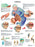 Fabrication Enterprises - Anatomical Chart Arthritis 20 X 26 Inch Laminated - 12-4605L