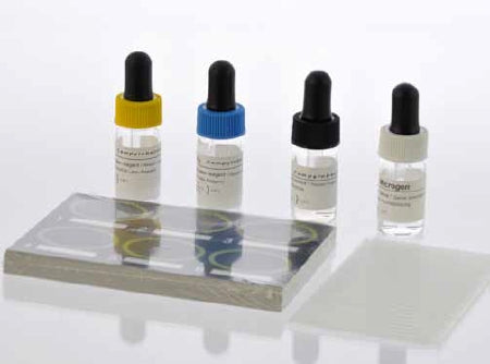 Hardy Diagnostics Microscreen Rapid Test Kit Latex Agglutination Test Campylobacter Solid Selective Media Sample Non-CLIA Waived 50 Tests - F46