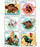 Medibadge Disney 75 Per Unit Moana Sticker - 1661P