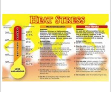 Accuform Signs Accuform General Information Sign Heat Stress Safety Awareness - PST728