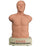 Cardionics Sam 3G Student Auscultation Manikin SAM 3G Male - 718-8811
