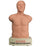 Sam 3G - Student Auscultation Manikin SAM 3G Male - 718-8812