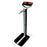 Brandt Industries - Digital Scale Digital Display 500 lbs. Capacity Black Battery Operated - DB1100