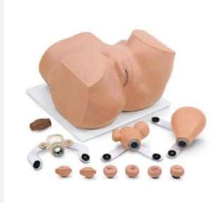Simulaids Eva GYN Manikin - 160-1900